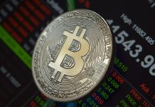 volatilità di bitcoin